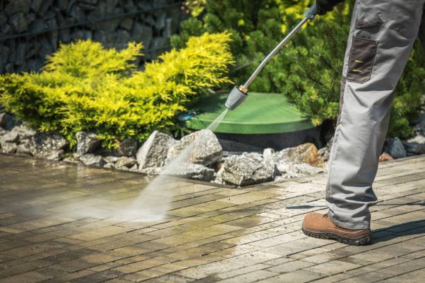 Best Brick and Stone Cleaning in Lanett, AL