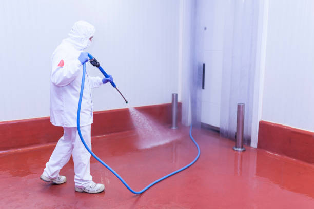 Best Concrete Surface Cleaning in Lanett, AL