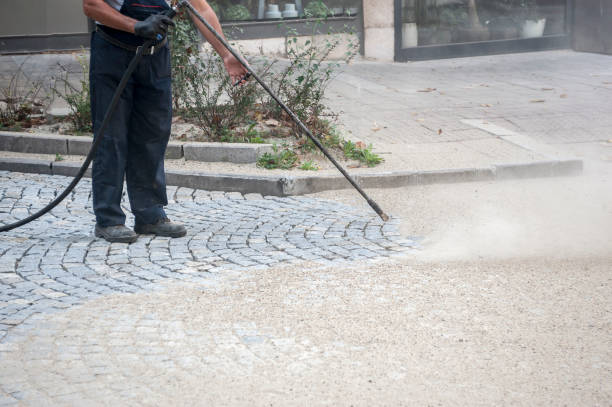 Best Fence Cleaning and Maintenance in Lanett, AL
